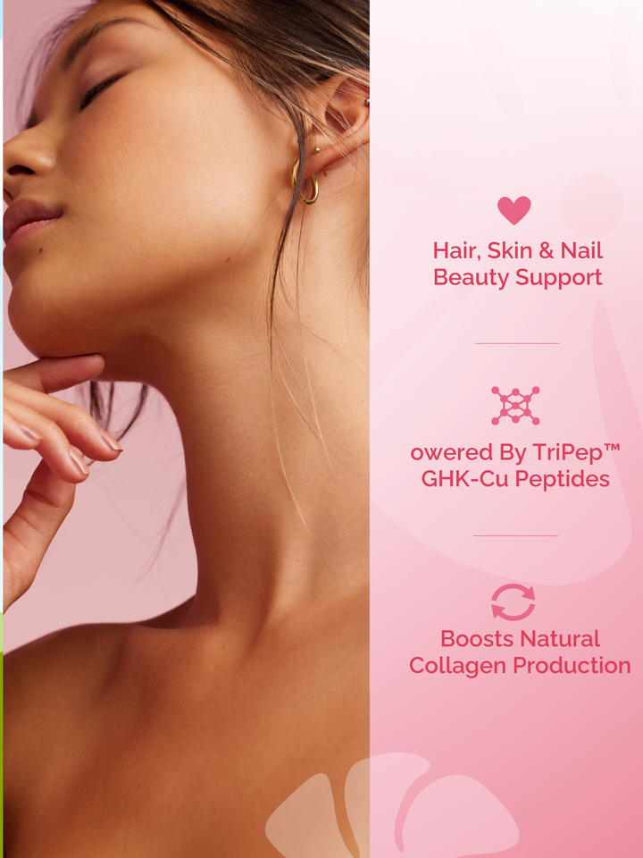 Collagen Patch