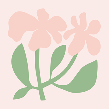 Valerian Extract
