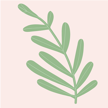 Oat Seed  Extract