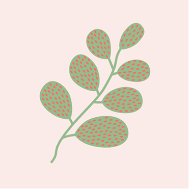 AshwaCalm™ Ashwagandha Complex