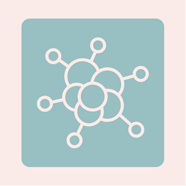 Vitamin B3 Niacin