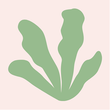 Fucus Vesiculosus Extract/ Bladderwrack