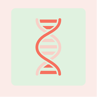 Acetyl L Carnitine