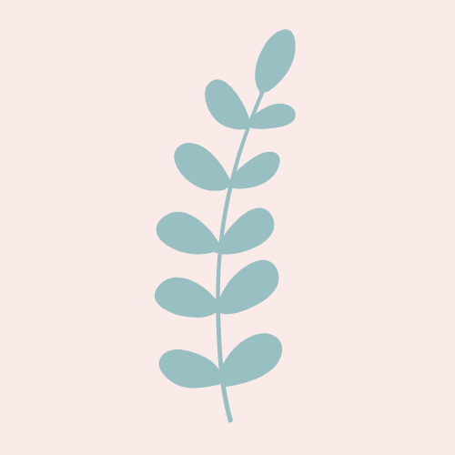 Flax Seed