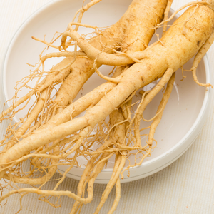 Ginseng