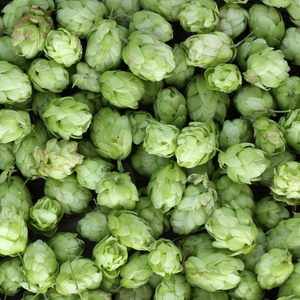Hops 