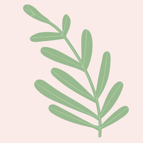 Oat Seed