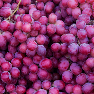 Resveratrol